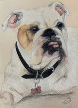 Load image into Gallery viewer, 'Pet Portrait ' - Custom Pencil Sketch with Naturalistic/Realistic Color Palette