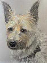 Load image into Gallery viewer, 'Pet Portrait ' - Custom Pencil Sketch with Naturalistic/Realistic Color Palette