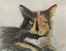 Load image into Gallery viewer, 'Pet Portrait ' - Custom Pencil Sketch with Naturalistic/Realistic Color Palette
