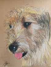 Load image into Gallery viewer, 'Pet Portrait ' - Custom Pencil Sketch with Naturalistic/Realistic Color Palette
