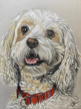 Load image into Gallery viewer, 'Pet Portrait ' - Custom Pencil Sketch with Naturalistic/Realistic Color Palette