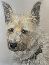 Load image into Gallery viewer, &#39;Pet Portrait &#39; - Custom Pencil Sketch with Naturalistic/Realistic Color Palette
